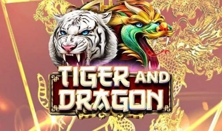 Chiến Thuật Dragon Tiger Tại G88 Giúp Tân Thủ Thắng 89% Trận Đấu 6 Dragon Tiger Tại G88